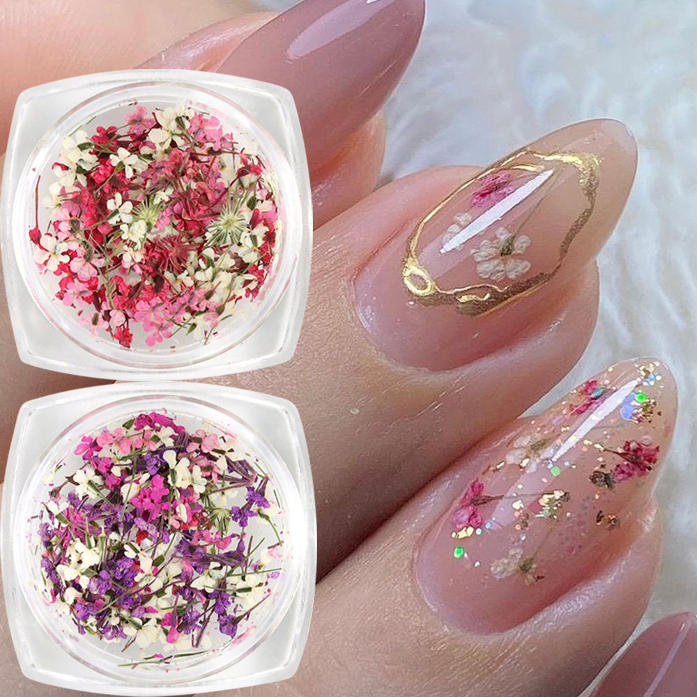 Mixed Colors Gypsophila False  – Dried Flower Bulk Bewertung und Preis