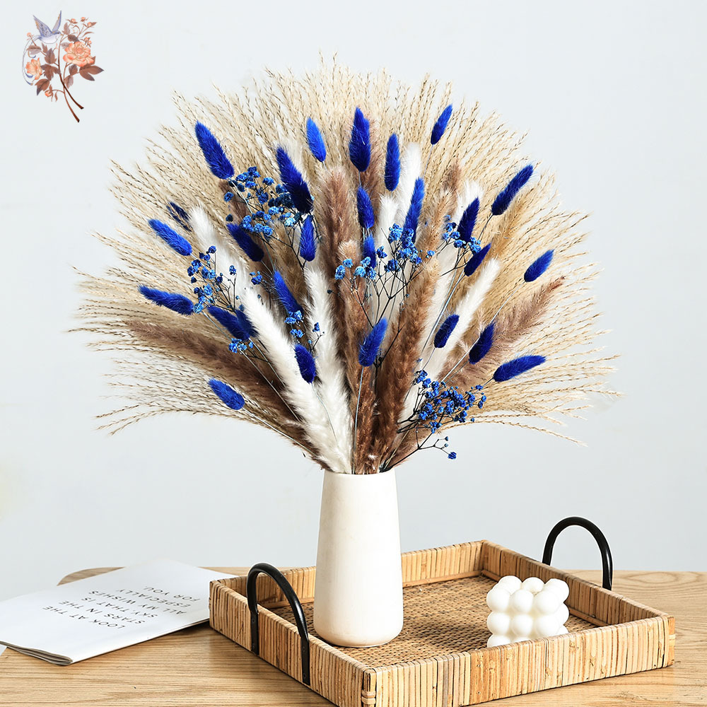 70 Stem Blue Fluffly Rabbit Ta – Dried Flower Bulk Bewertung und Preis