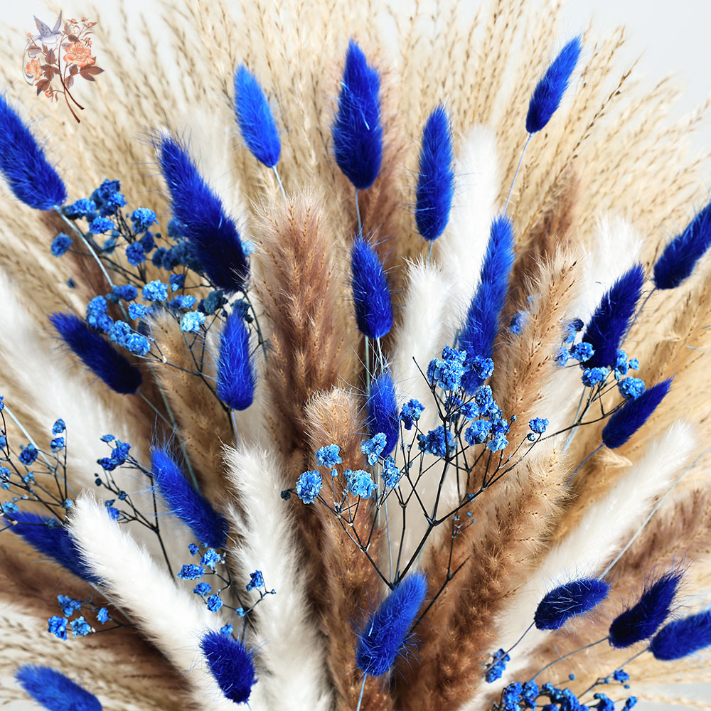 70 Stem Blue Fluffly Rabbit Ta – Dried Flower Bulk Bewertung und Preis