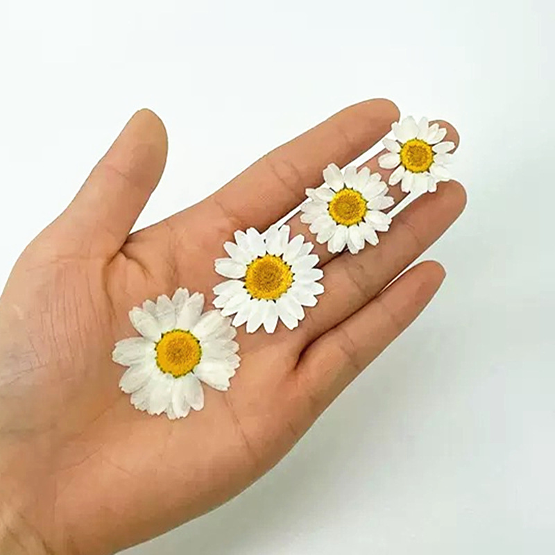100Pcs Natural White Crystal C – Resin Craft Ideas Bewertung und Preis