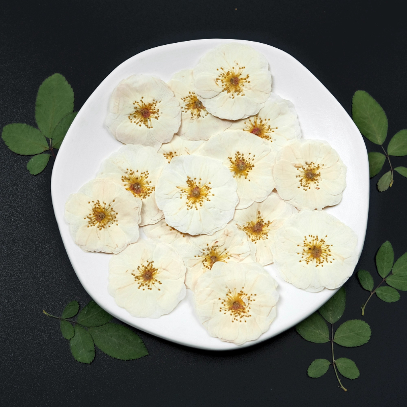 6pcs,9pcs,Nature White Rose Pr – Resin Craft Ideas Bewertung und Preis