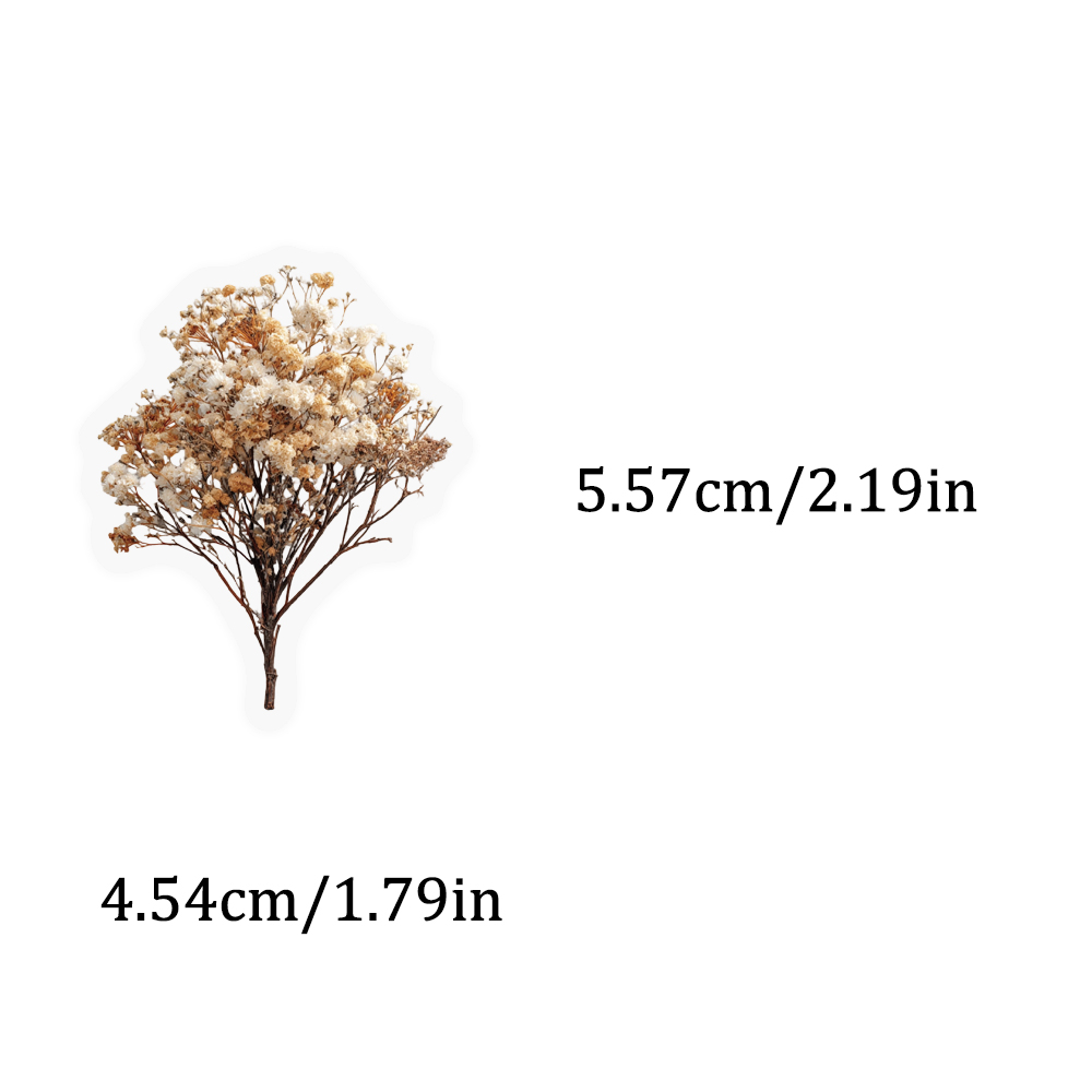 50PCS Retro Color Dried Flower – Dried Flower Bulk Bewertung und Preis