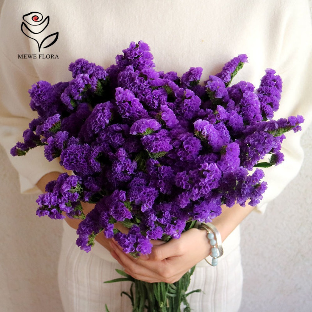100g Dried Forget Me Not Flowe – Dried Flower Bulk Bewertung und Preis