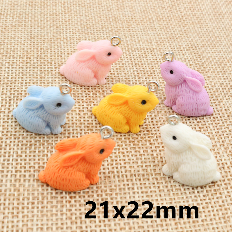 10PCS Resin Pendant Charms Rab – Resin Craft Supplies Bewertung und Preis