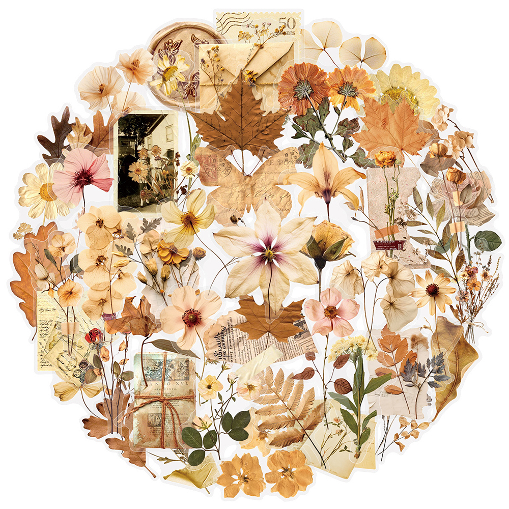 10/30/50pcs Transparent Dried  – Dried Flower Bulk Bewertung und Preis