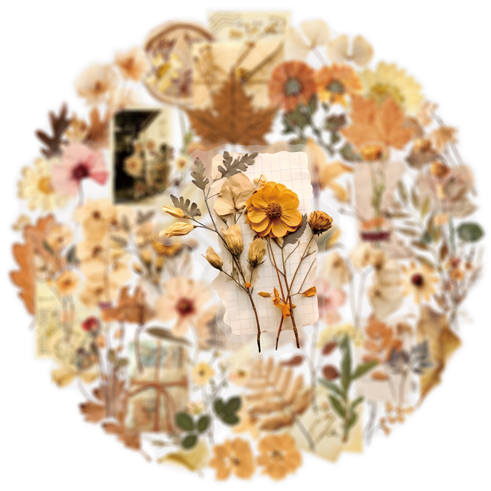 10/30/50pcs Transparent Dried  – Dried Flower Bulk Bewertung und Preis