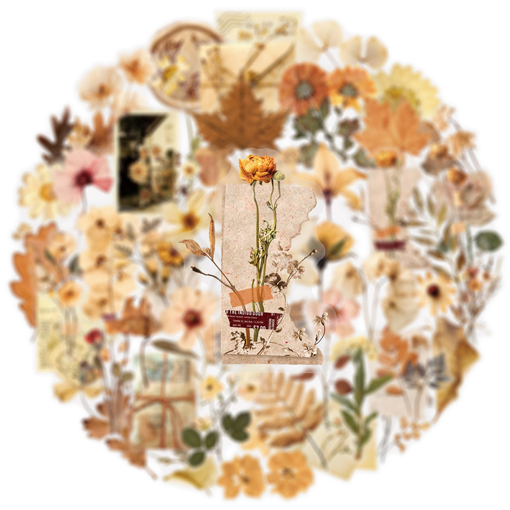 10/30/50pcs Transparent Dried  – Dried Flower Bulk Bewertung und Preis