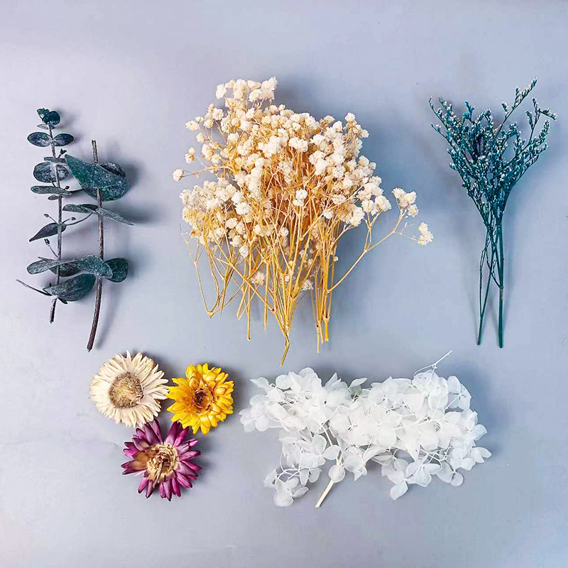 1pack Multifarious Dried Flowe – Dried Flower Bulk Bewertung und Preis