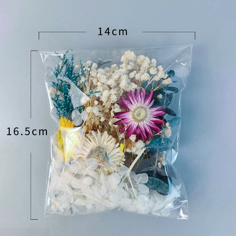 1pack Multifarious Dried Flowe – Dried Flower Bulk Bewertung und Preis