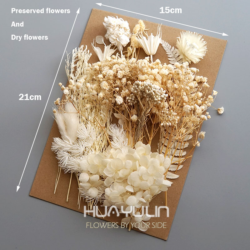 1 Pack Artificial Plants Dried – Flower Preservation Resin Bewertung und Preis