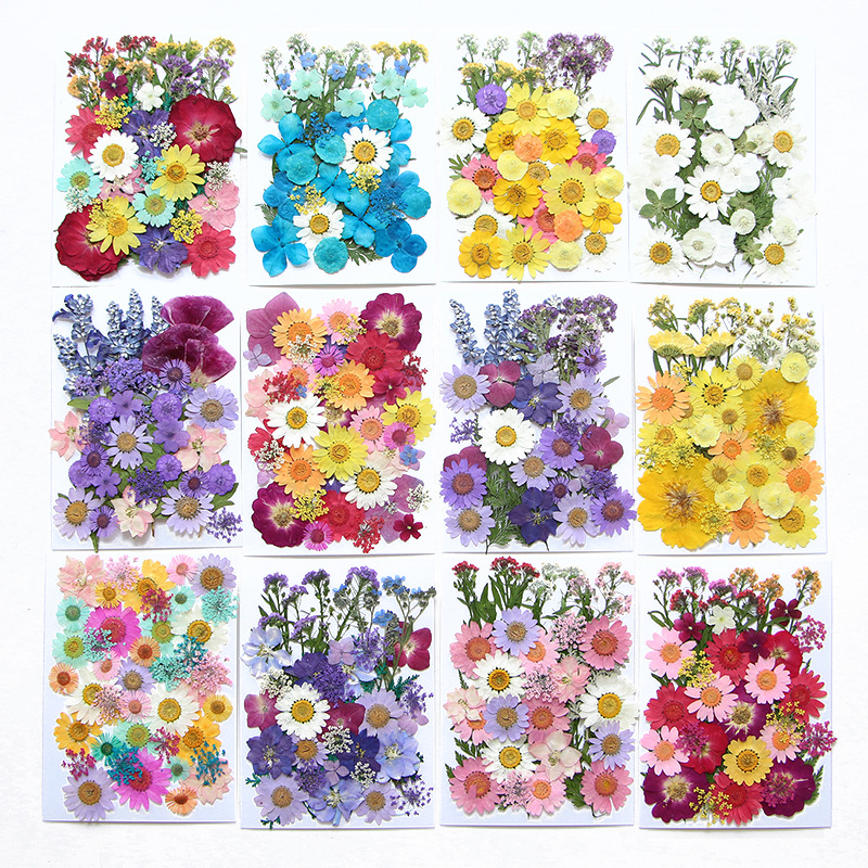 6pcsDried Flowers Real Natural – Flower Preservation Resin Bewertung und Preis