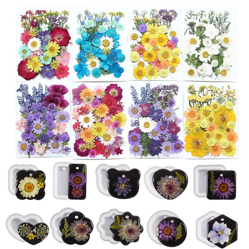 6pcsDried Flowers Real Natural – Flower Preservation Resin Bewertung und Preis