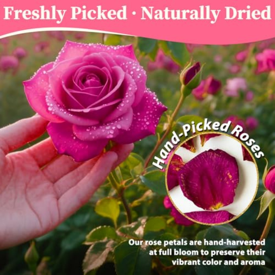 Dried Rose Petals Bulk 5oz Nat – Dried Flower Bulk Bewertung und Preis