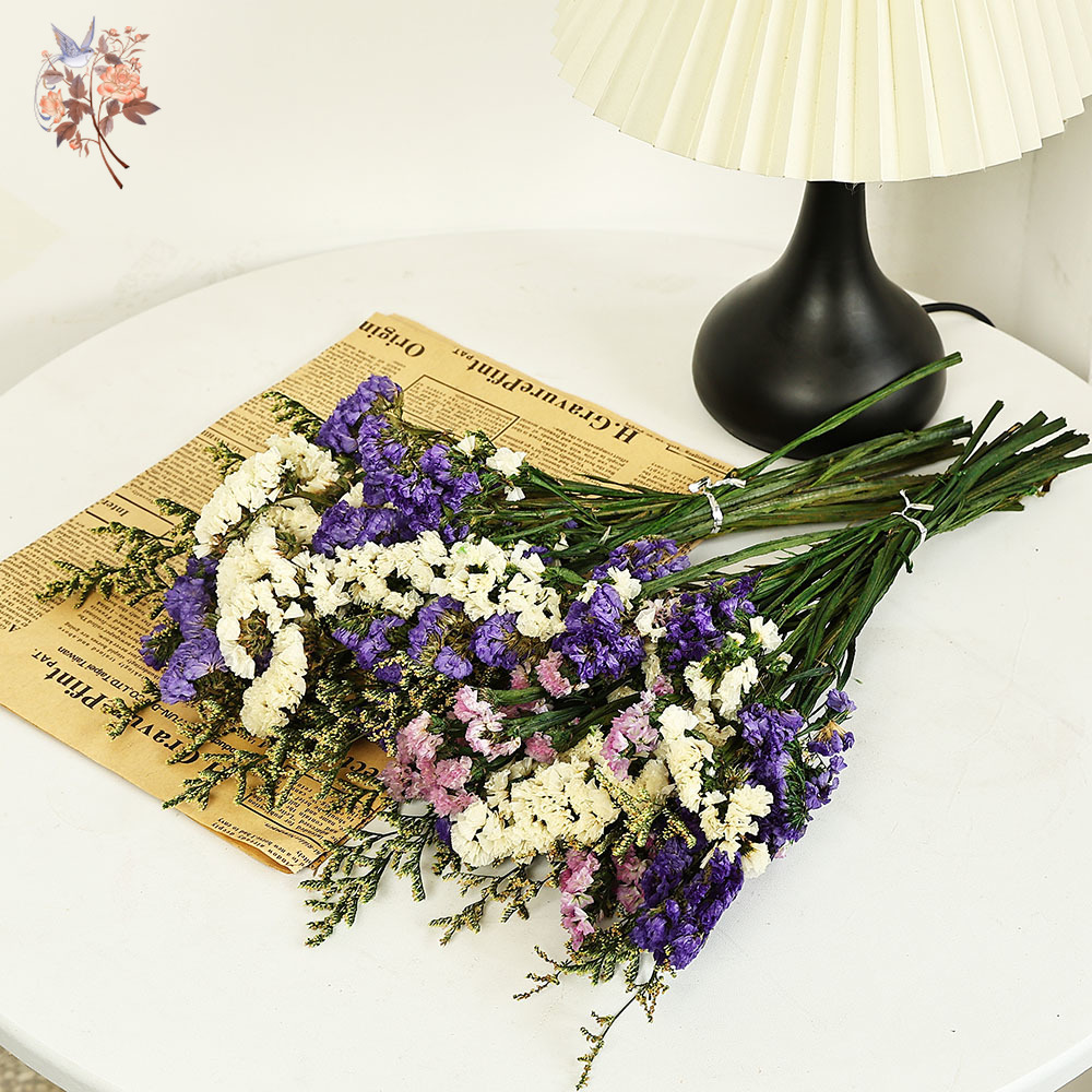 100g Natural Real Forget-me-no – Dried Flower Bulk Bewertung und Preis
