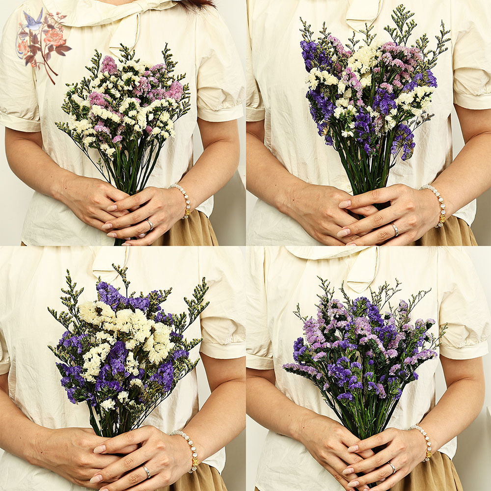 100g Natural Real Forget-me-no – Dried Flower Bulk Bewertung und Preis
