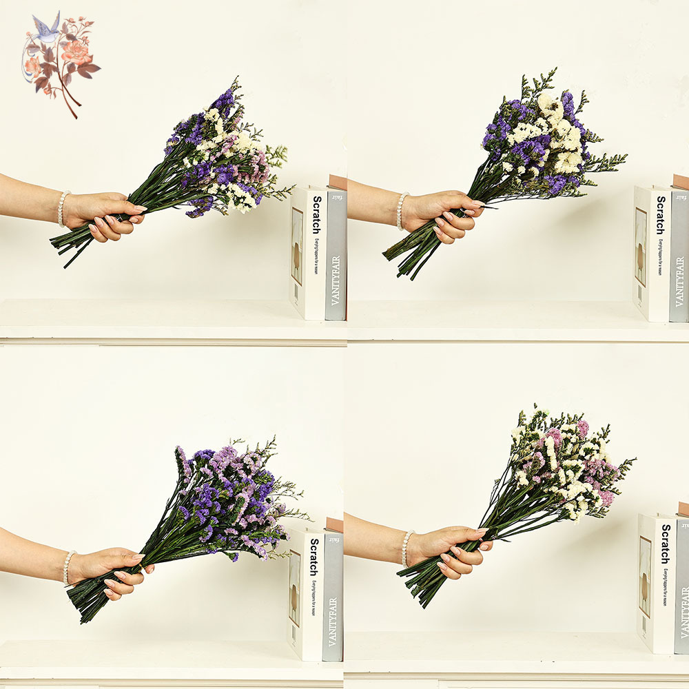 100g Natural Real Forget-me-no – Dried Flower Bulk Bewertung und Preis