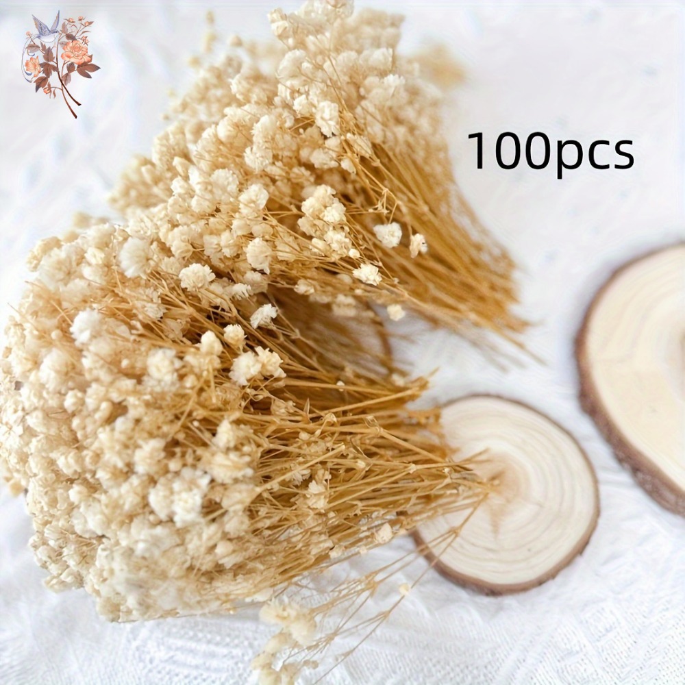 100pcs Mini Dried Baby's Breat – Resin Craft Ideas Bewertung und Preis